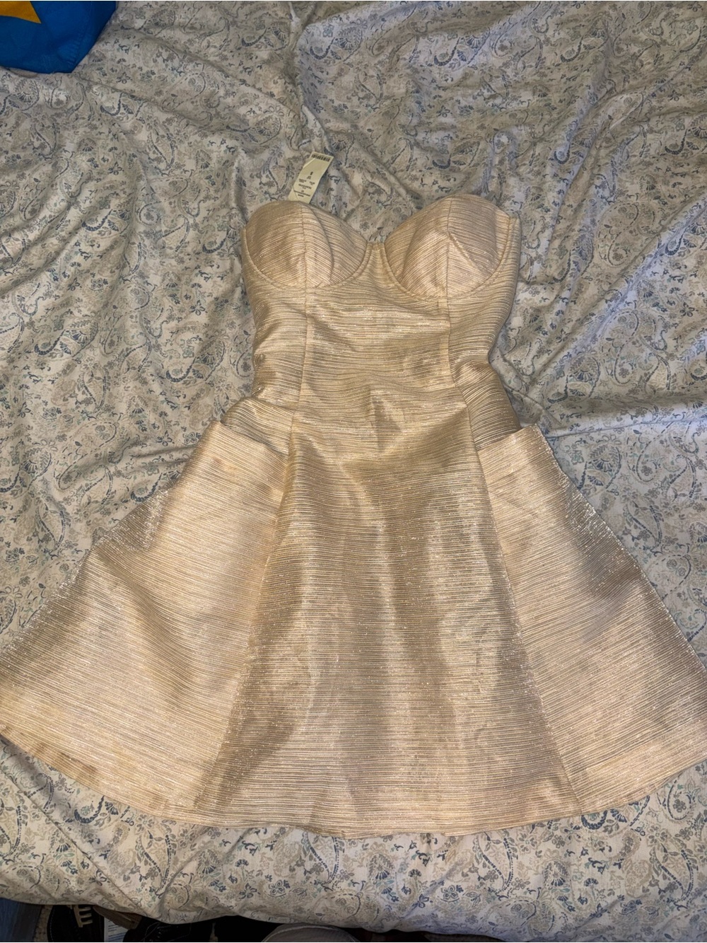 bebe Strapless Champagne Fit-and-Flare Dress